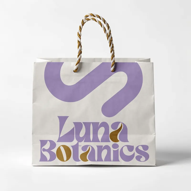 Custom Twisted Handle Paper Bags, product shot